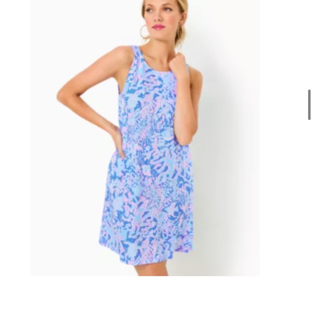 Lilly Pulitzer Blue and Pink Dress